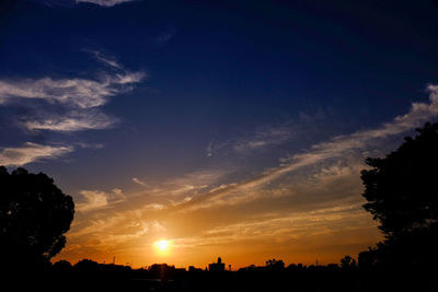 Silhouette of trees at sunset