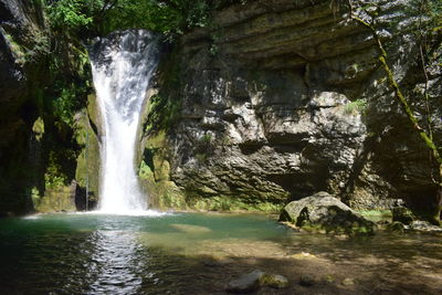 Scenic view of waterfall in forest