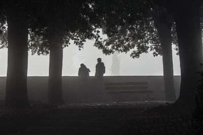 Silhouette couple standing by tree against sky