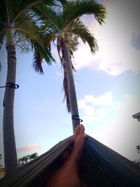 Low angle view of person on palm tree against sky