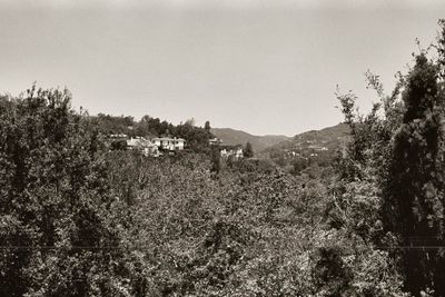 Trees on landscape against clear sky