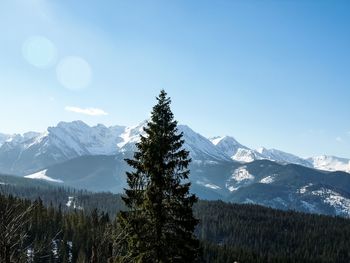 Scenic view of mountains against clear sky