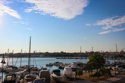 Sailboats moored in harbor