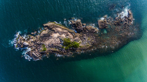 Aerial view of sea