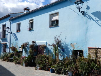 Potted plants on street by building against sky