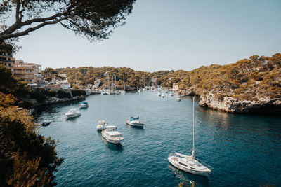 High angle view of boats moored in bay