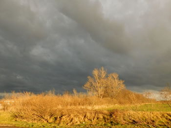 Scenic view of field against cloudy sky