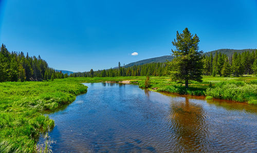 Scenic view of lake against blue sky