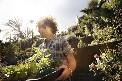 Cheerful man carrying plant crate at community garden on sunny day