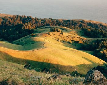 Scenic view of landscape