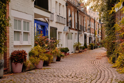 Autumnal foliage along kynance mews in the royal borough of kensington and chelsea. 