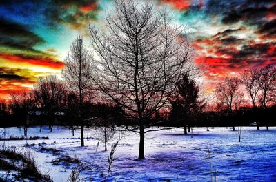 Silhouette trees on field during winter