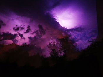 Low angle view of silhouette trees against sky at night