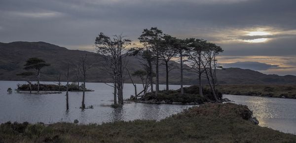 Scenic view of lake by trees against sky