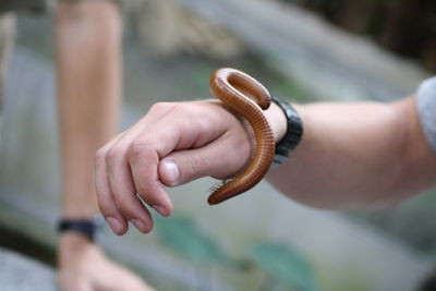 Cropped hand of man holding insect outdoors