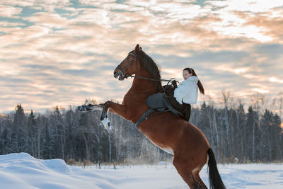 A girl in a white cloak rides a brown horse in winter. golden hour, setting sun.