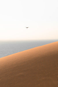 Scenic view of desert against sky