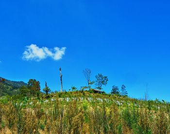 Scenic view of blue sky