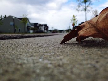 Low section of shoes on street