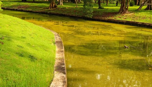 Scenic view of field by lake