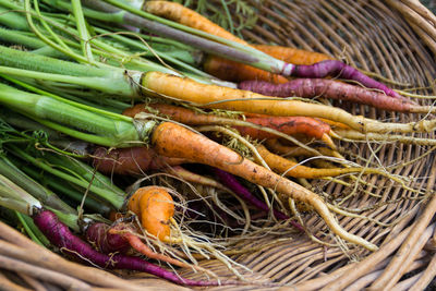 High angle view of vegetables in basket