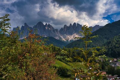 Panoramic view of trees and mountains against sky