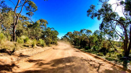 Dirt road amidst trees against sky