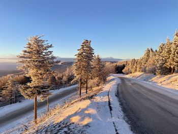 Road amidst trees against clear blue sky