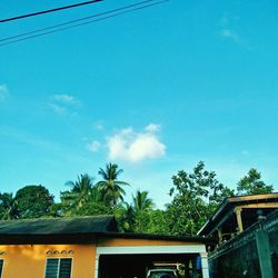 Low angle view of palm trees and building against sky