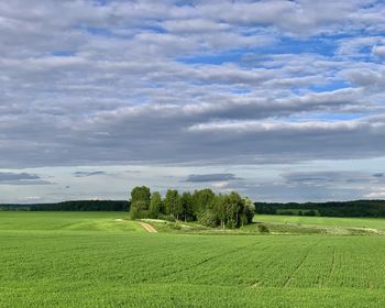 landscape