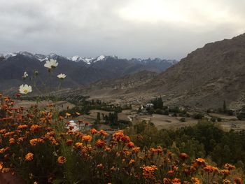 Scenic view of cloudy sky over field and buildings