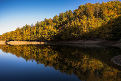 Scenic view of lake by trees against sky during autumn