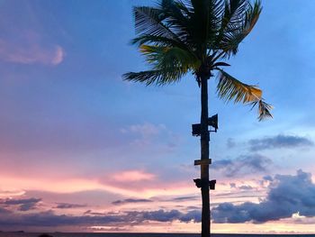 Low angle view of silhouette palm tree against sky