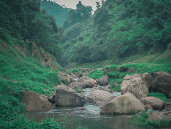 Scenic view of rocks on land against trees