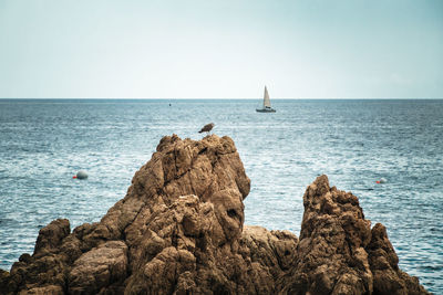 Scenic view of rocks in sea against clear sky