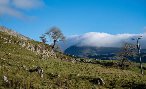 Scenic view of landscape against blue sky