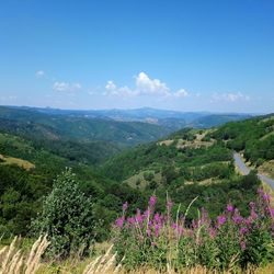 Scenic view of green landscape against sky