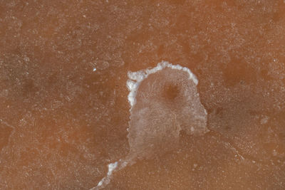 Close-up of water splashing on beach