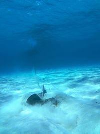 Man swimming in sea