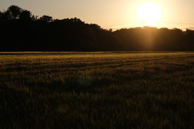 Scenic view of field against sky during sunset