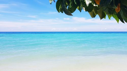 Scenic view of sea against sky