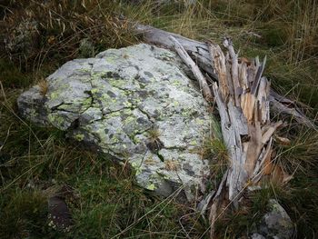 Stream flowing through rocks