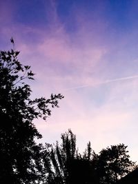 Low angle view of silhouette trees against sky