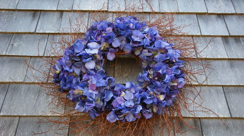 Close-up of purple flowers