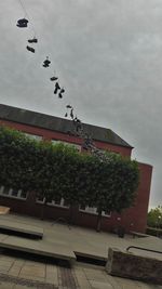 Low angle view of bird flying against sky