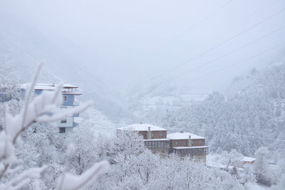 Snow covered buildings and trees by house during winter