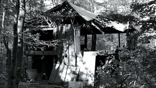 Old house with trees in background