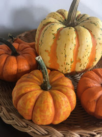 Close-up of pumpkins