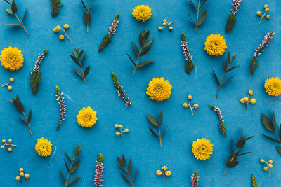 Full frame shot of yellow flowers with leaves on blue background