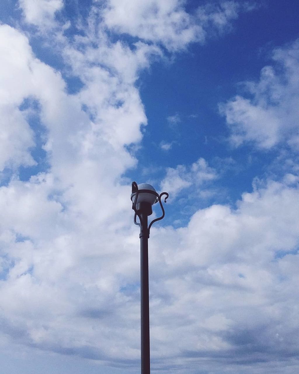 sky, cloud - sky, low angle view, lighting equipment, street, street light, nature, day, no people, bird, blue, outdoors, animals in the wild, animal wildlife, animal themes, animal, vertebrate, one animal, pole, electricity, seagull